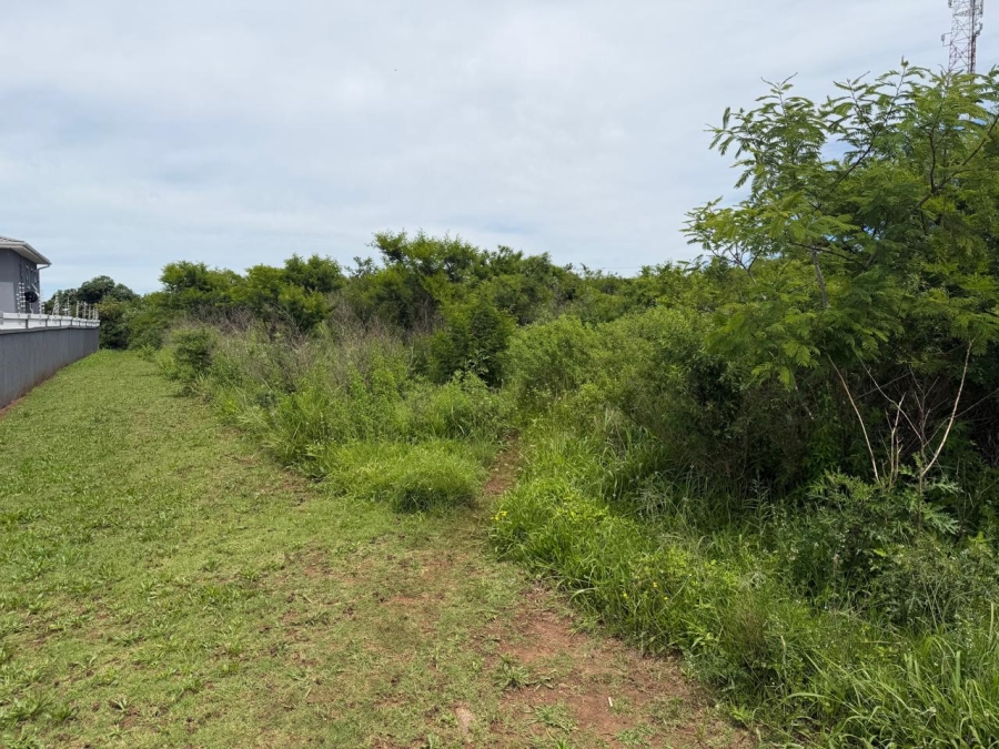 0 Bedroom Property for Sale in Butterworth Eastern Cape